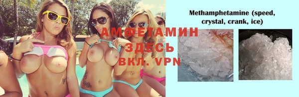 индика Абаза