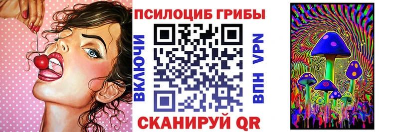 Псилоцибиновые грибы Psilocybe  блэк спрут как зайти  Курганинск 