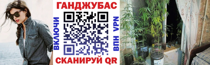 Конопля THC 21% Курганинск